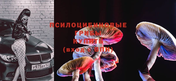 гашик Верхний Тагил
